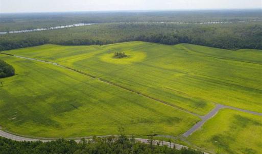 Photo of REDUCED!  97 Acres of Farm and Timber Land For sale in Tyrrell County NC!