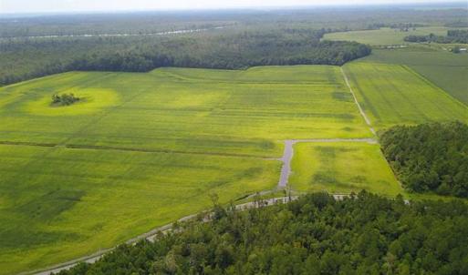 Photo of REDUCED!  97 Acres of Farm and Timber Land For sale in Tyrrell County NC!
