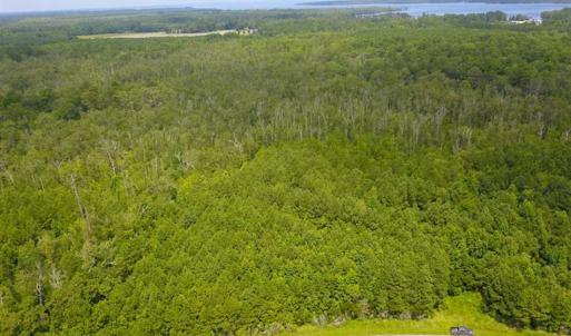 Photo of REDUCED!  97 Acres of Farm and Timber Land For sale in Tyrrell County NC!