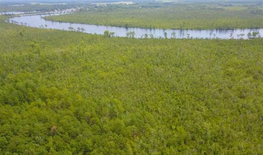 Photo of REDUCED!  97 Acres of Farm and Timber Land For sale in Tyrrell County NC!