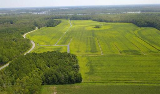 Photo of REDUCED!  97 Acres of Farm and Timber Land For sale in Tyrrell County NC!
