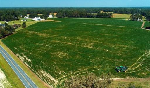 Photo of UNDER CONTRACT!!  15 Acres of Farm Land For Sale in Robeson County NC!