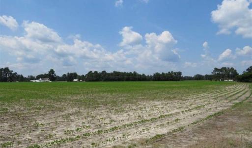 Photo of UNDER CONTRACT!!  15 Acres of Farm Land For Sale in Robeson County NC!