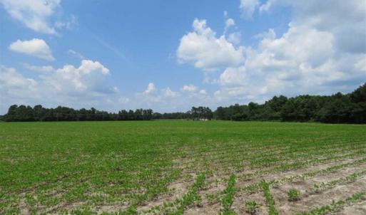 Photo of UNDER CONTRACT!!  15 Acres of Farm Land For Sale in Robeson County NC!