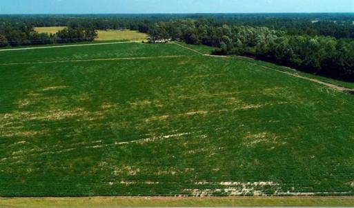 Photo of UNDER CONTRACT!!  15 Acres of Farm Land For Sale in Robeson County NC!