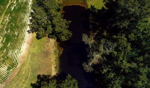 Photo of UNDER CONTRACT!!  15 Acres of Farm Land For Sale in Robeson County NC!