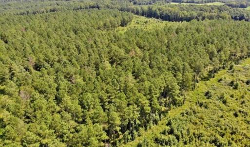 Photo of SOLD!!  9.09 Acres of Residential Farm Land For Sale in Halifax County NC!