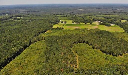 Photo of SOLD!!  9.09 Acres of Residential Farm Land For Sale in Halifax County NC!