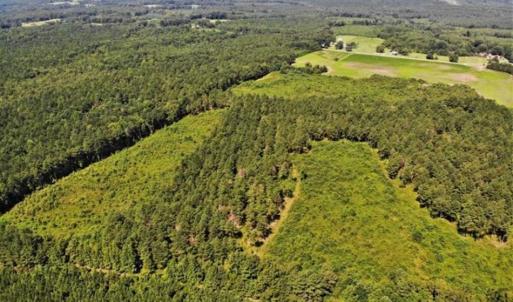 Photo of SOLD!!  9.09 Acres of Residential Farm Land For Sale in Halifax County NC!
