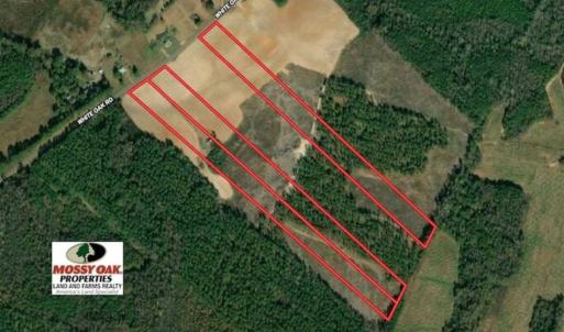 Photo of SOLD!!  9.09 Acres of Residential Farm Land For Sale in Halifax County NC!