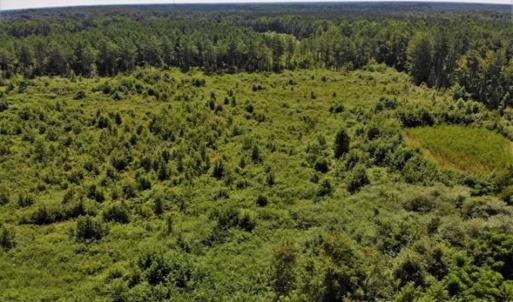 Photo of SOLD!!  9.09 Acres of Residential Farm Land For Sale in Halifax County NC!