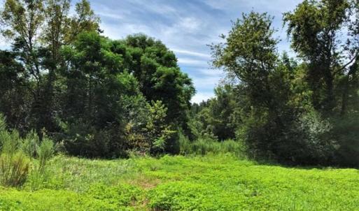 Photo of SOLD!!  9.09 Acres of Residential Farm Land For Sale in Halifax County NC!
