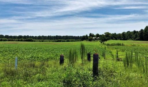Photo of SOLD!!  9.09 Acres of Residential Farm Land For Sale in Halifax County NC!