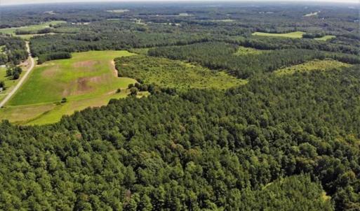 Photo of SOLD!!  9.09 Acres of Residential Farm Land For Sale in Halifax County NC!