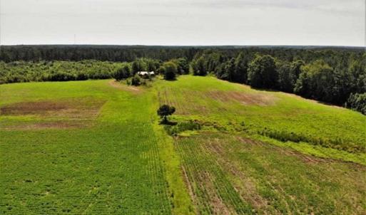 Photo of SOLD!!  9.09 Acres of Residential Farm Land For Sale in Halifax County NC!