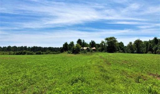 Photo of SOLD!!  9.09 Acres of Residential Farm Land For Sale in Halifax County NC!