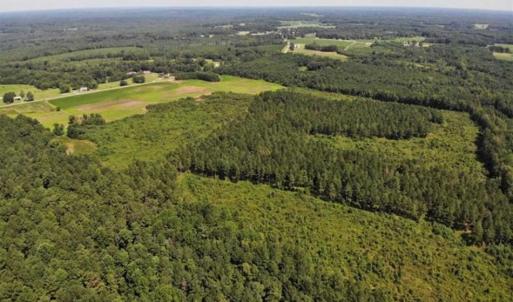 Photo of SOLD!!  9.09 Acres of Residential Farm Land For Sale in Halifax County NC!