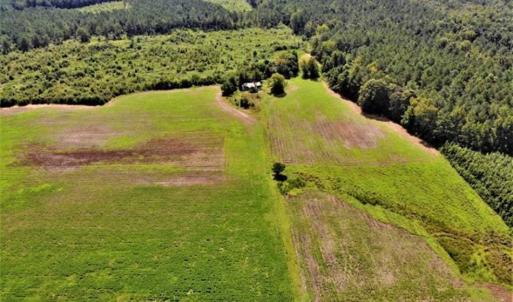 Photo of SOLD!!  9.09 Acres of Residential Farm Land For Sale in Halifax County NC!