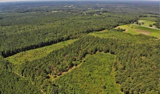 Photo of SOLD!!  9.09 Acres of Residential Farm Land For Sale in Halifax County NC!