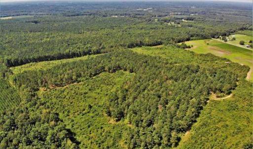 Photo of SOLD!!  9.09 Acres of Residential Farm Land For Sale in Halifax County NC!