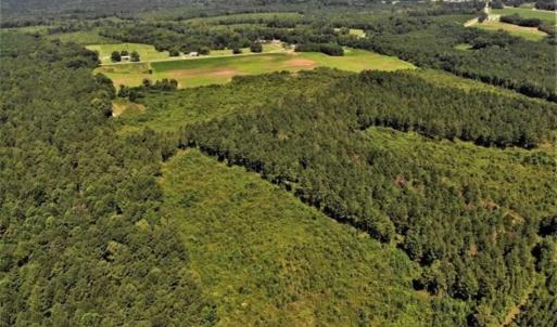 Photo of SOLD!!  9.09 Acres of Residential Farm Land For Sale in Halifax County NC!