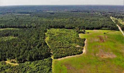 Photo of SOLD!!  9.09 Acres of Residential Farm Land For Sale in Halifax County NC!