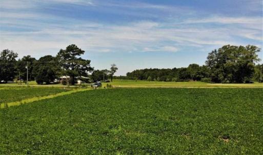 Photo of SOLD!!  9.09 Acres of Residential Farm Land For Sale in Halifax County NC!