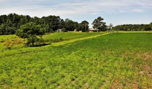 Photo of SOLD!!  9.09 Acres of Residential Farm Land For Sale in Halifax County NC!