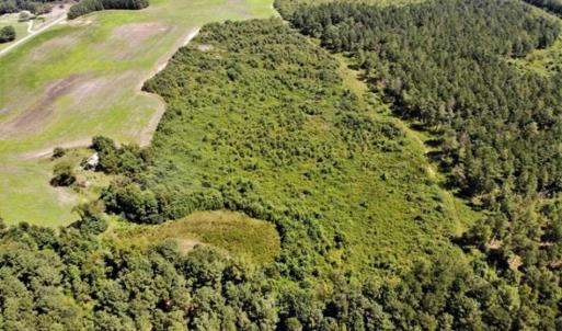 Photo of SOLD!!  9.09 Acres of Residential Farm Land For Sale in Halifax County NC!