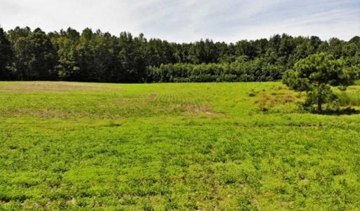 Photo of SOLD!!  9.09 Acres of Residential Farm Land For Sale in Halifax County NC!