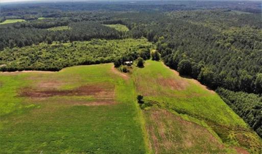 Photo of SOLD!!  9.09 Acres of Residential Farm Land For Sale in Halifax County NC!