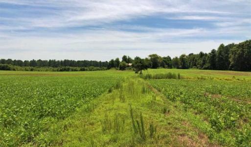 Photo of SOLD!!  9.09 Acres of Residential Farm Land For Sale in Halifax County NC!