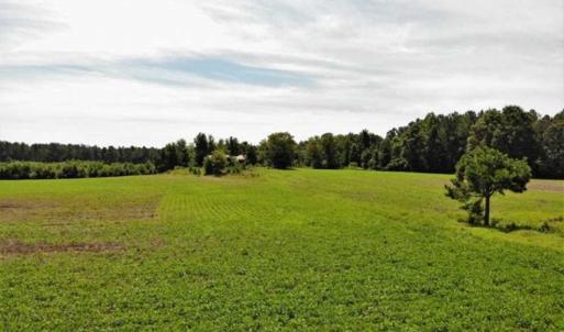 Photo of SOLD!!  9.09 Acres of Residential Farm Land For Sale in Halifax County NC!