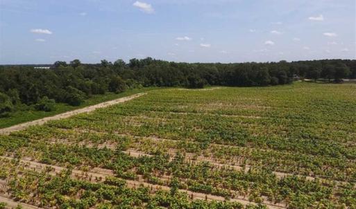 Photo of UNDER CONTRACT!!  130 Acres of Recreational and Residential Land For Sale in Robeson County NC!