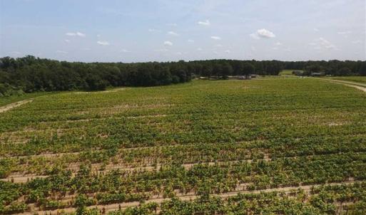 Photo of UNDER CONTRACT!!  130 Acres of Recreational and Residential Land For Sale in Robeson County NC!