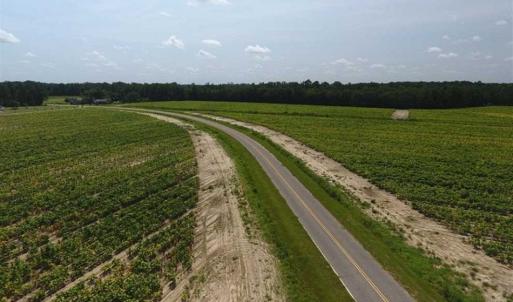 Photo of UNDER CONTRACT!!  130 Acres of Recreational and Residential Land For Sale in Robeson County NC!