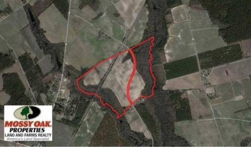 Photo of UNDER CONTRACT!!  130 Acres of Recreational and Residential Land For Sale in Robeson County NC!