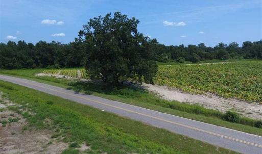 Photo of UNDER CONTRACT!!  130 Acres of Recreational and Residential Land For Sale in Robeson County NC!