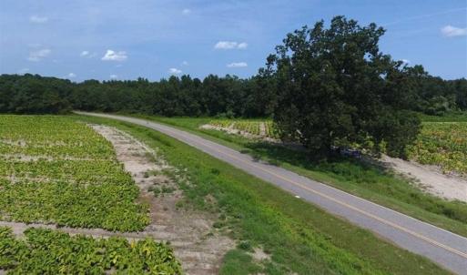 Photo of UNDER CONTRACT!!  130 Acres of Recreational and Residential Land For Sale in Robeson County NC!