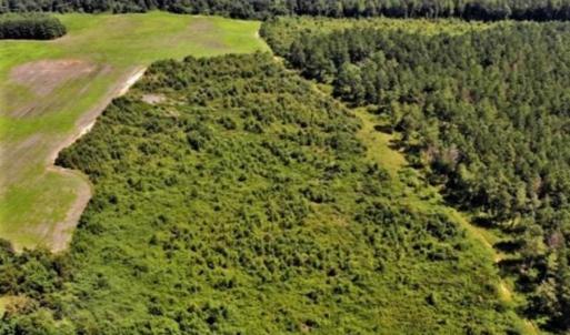 Photo of SOLD!!  9.08 Acres of Residential Farm Land For Sale in Halifax County NC!