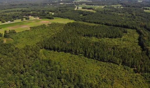 Photo of SOLD!!  9.08 Acres of Residential Farm Land For Sale in Halifax County NC!