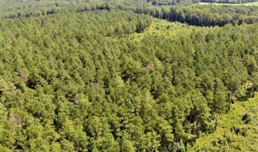 Photo of SOLD!!  9.08 Acres of Residential Farm Land For Sale in Halifax County NC!