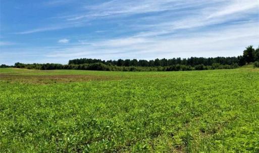 Photo of SOLD!!  9.08 Acres of Residential Farm Land For Sale in Halifax County NC!
