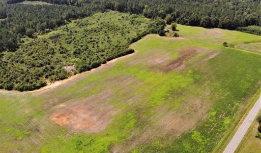 Photo of SOLD!!  9.08 Acres of Residential Farm Land For Sale in Halifax County NC!