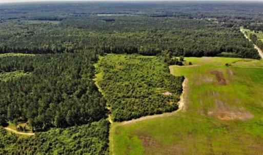 Photo of SOLD!!  9.08 Acres of Residential Farm Land For Sale in Halifax County NC!