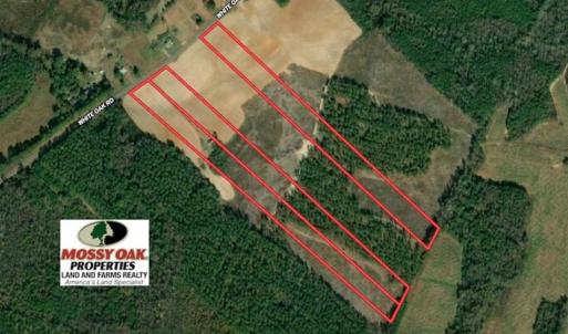 Photo of SOLD!!  9.08 Acres of Residential Farm Land For Sale in Halifax County NC!