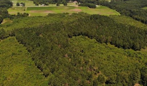 Photo of SOLD!!  9.08 Acres of Residential Farm Land For Sale in Halifax County NC!
