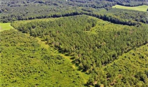 Photo of SOLD!!  9.08 Acres of Residential Farm Land For Sale in Halifax County NC!