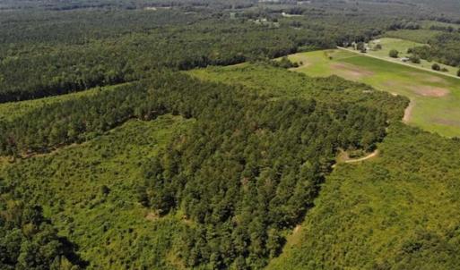 Photo of SOLD!!  9.08 Acres of Residential Farm Land For Sale in Halifax County NC!