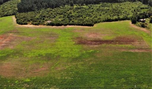 Photo of SOLD!!  9.08 Acres of Residential Farm Land For Sale in Halifax County NC!